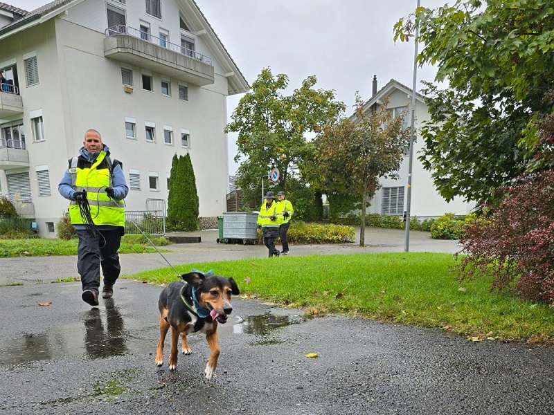 Seminar Plan B - taktisches Arbeiten im Mantrailing