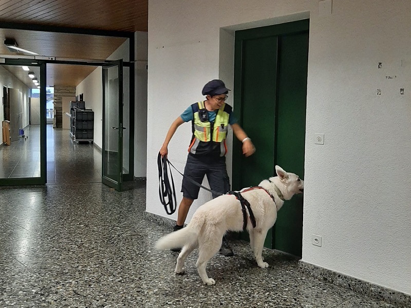 Mirjam Schnellmann mit ihrem ausgebildeten Mantraining-Hund Gennaia. Der Hund deutet unmissverständlich auf die Lifttüre – dahinter ist die versteckte Person verschwunden.
