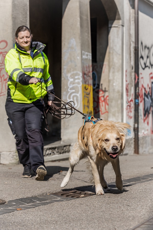 Joelle Fuchser mit Mantrailer und Golden Retriever Ben