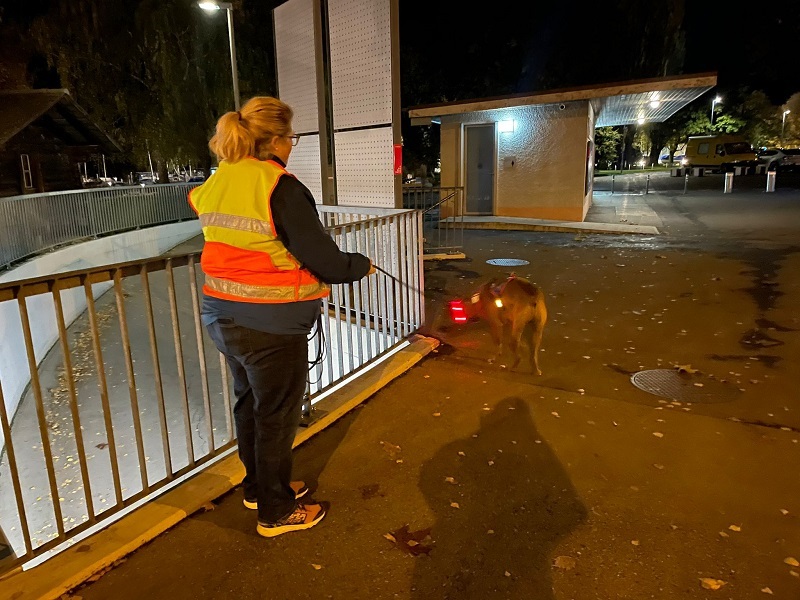 Staff-Trailen ist das Mantrailing-Trailing für die Instruktor*innen vom Mantrailing-Zentrum