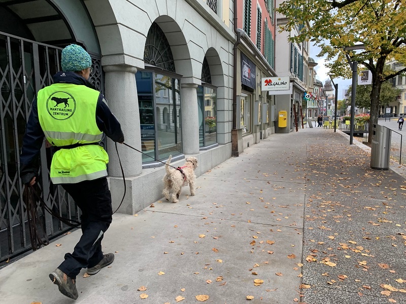 SVMI-Mitgliedertraining in Langenthal