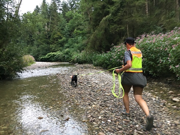 Mantrailing im Wasser