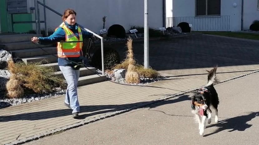 Teamvorstellung: Joelle - Fly und Ben